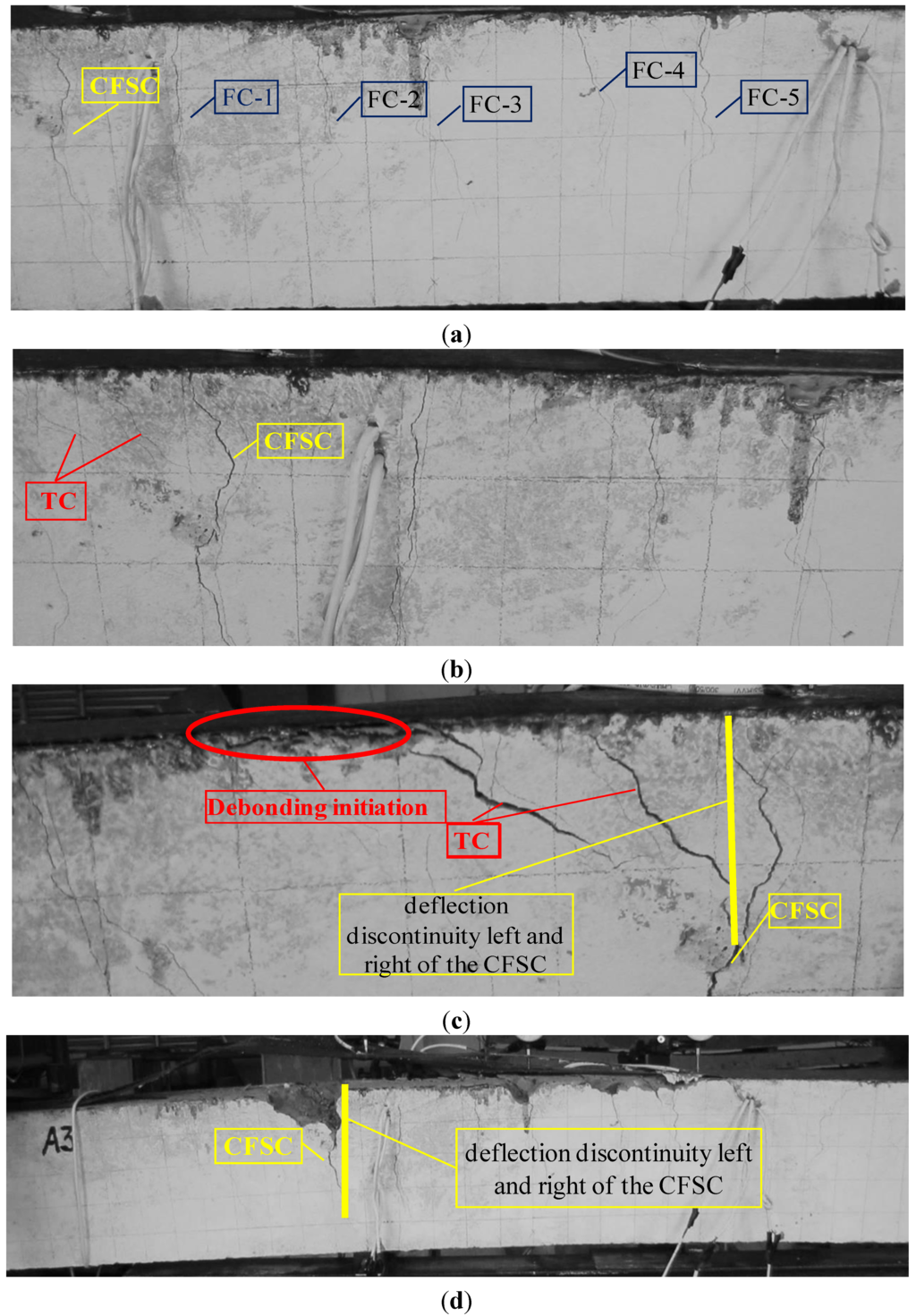 Polymers 06 01366 g002 1024
