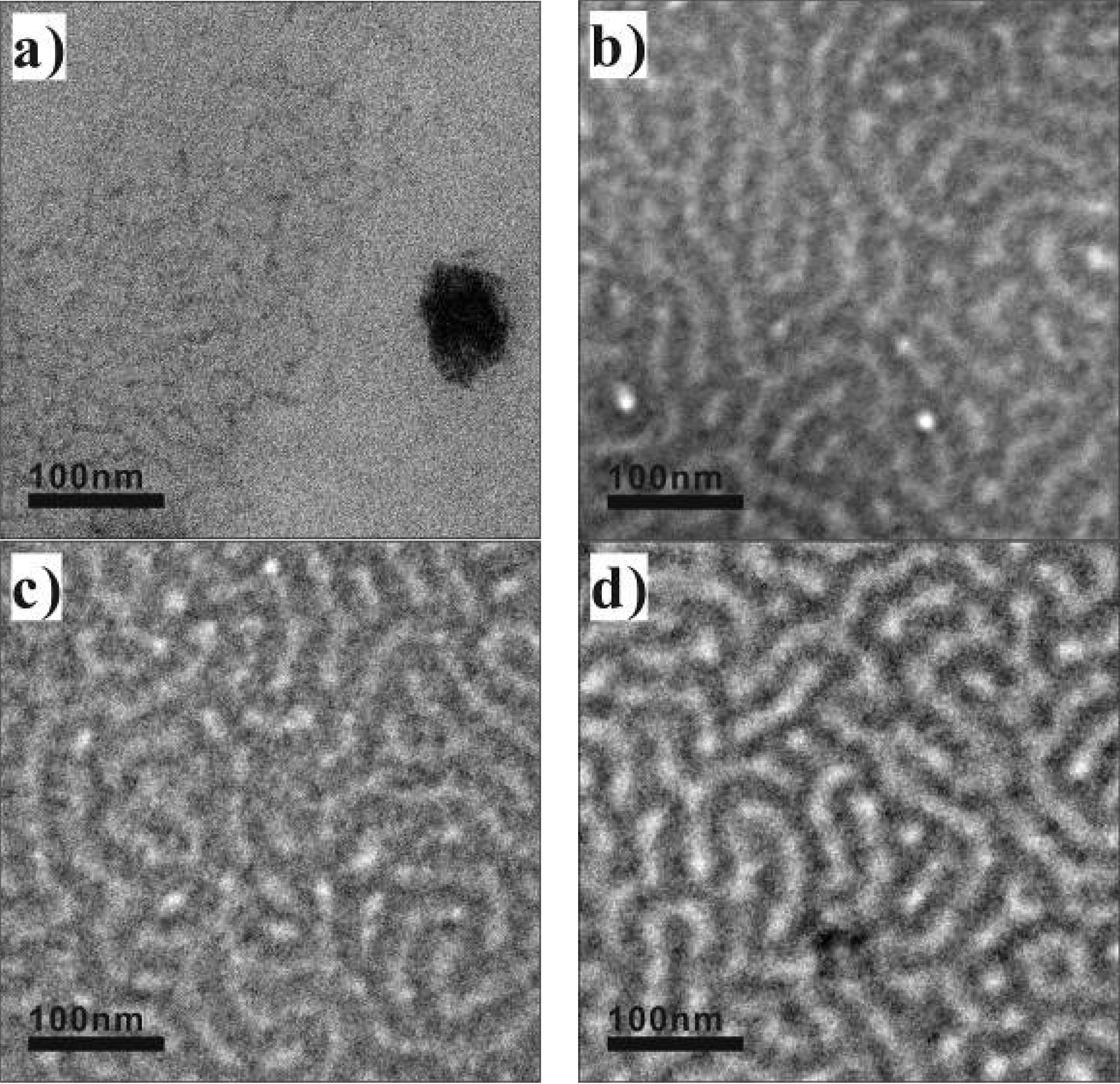 Polymers 06 01403 g003