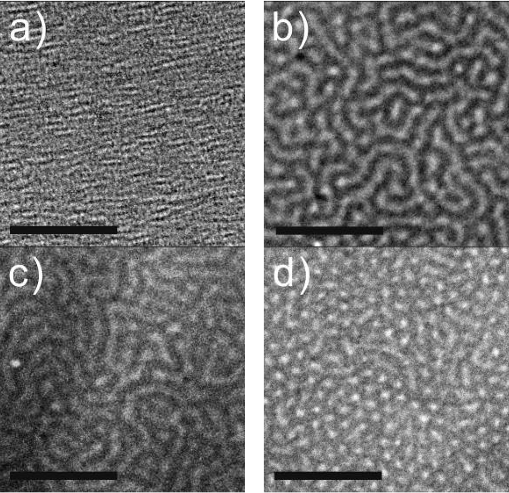 Polymers 06 01403 g004 1024