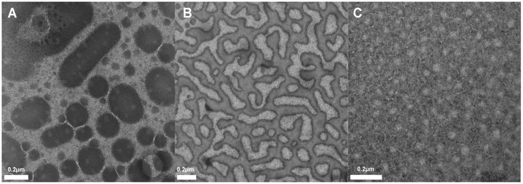 Polymers 06 01437 g004 1024
