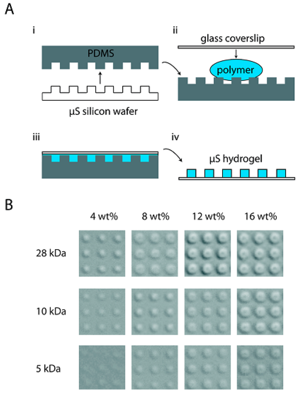 Polymers 06 01437 g006 1024