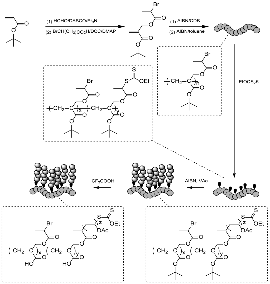 Polymers 06 01437 g030 1024