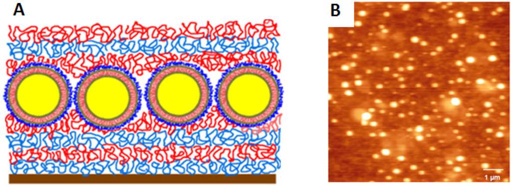 Polymers 06 01502 g001 1024