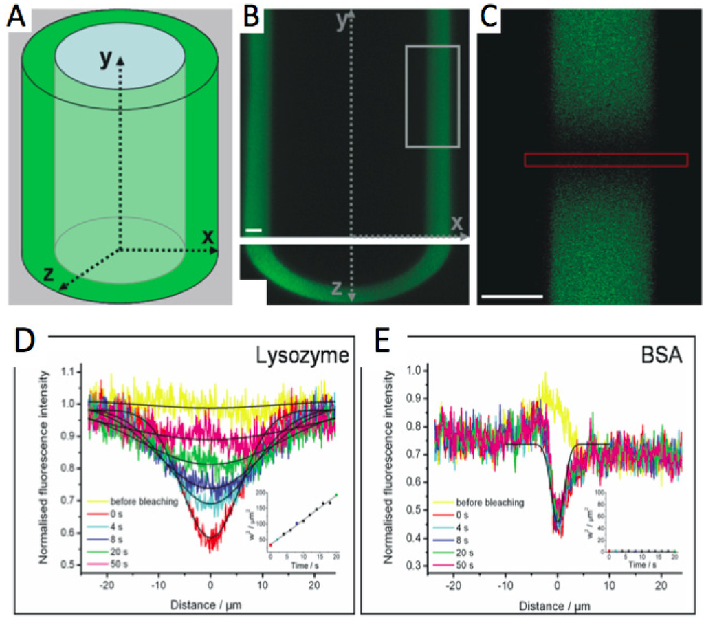 Polymers 06 01502 g002 1024