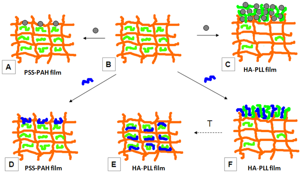 Polymers 06 01502 g004 1024
