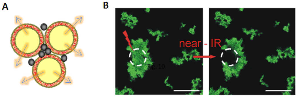 Polymers 06 01502 g008 1024