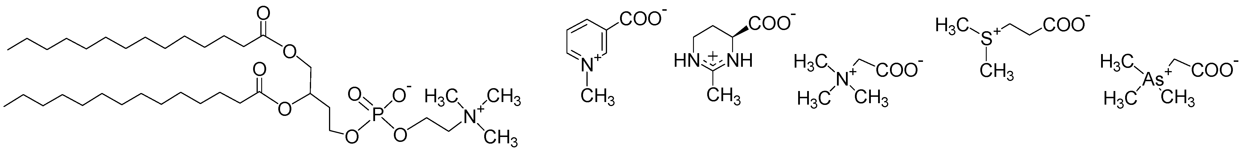 Polymers 06 01544 g021