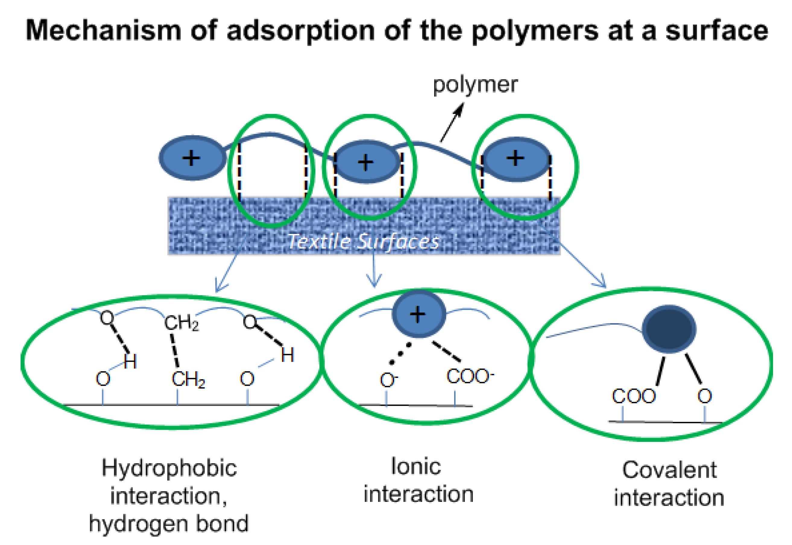 Polymers 06 01618 g004