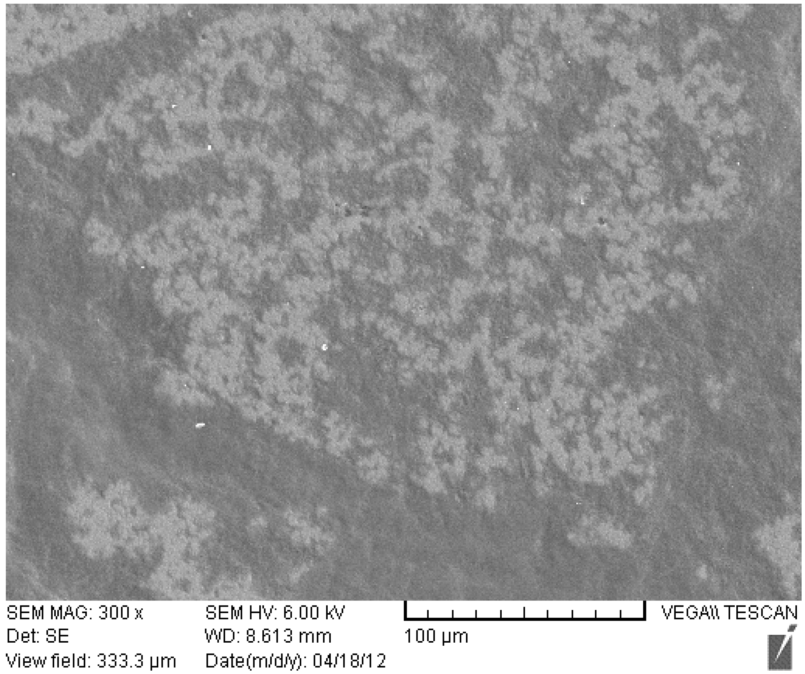Polymers 06 01631 g002