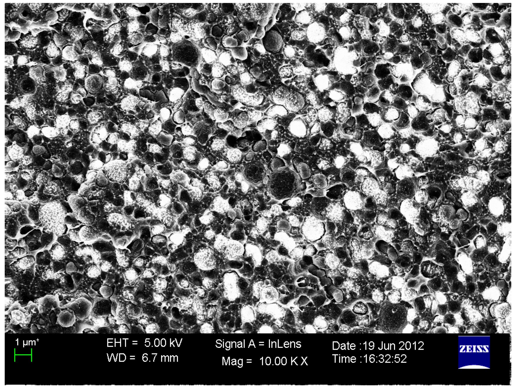 Polymers 06 01914 g007