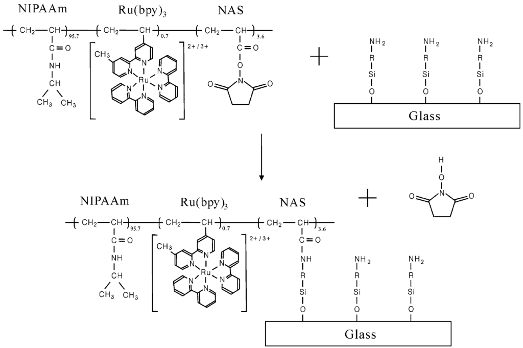 Polymers 06 01958 g007 1024
