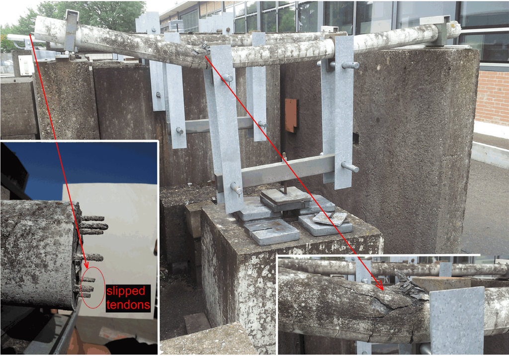 Polymers 06 02065 g006 1024