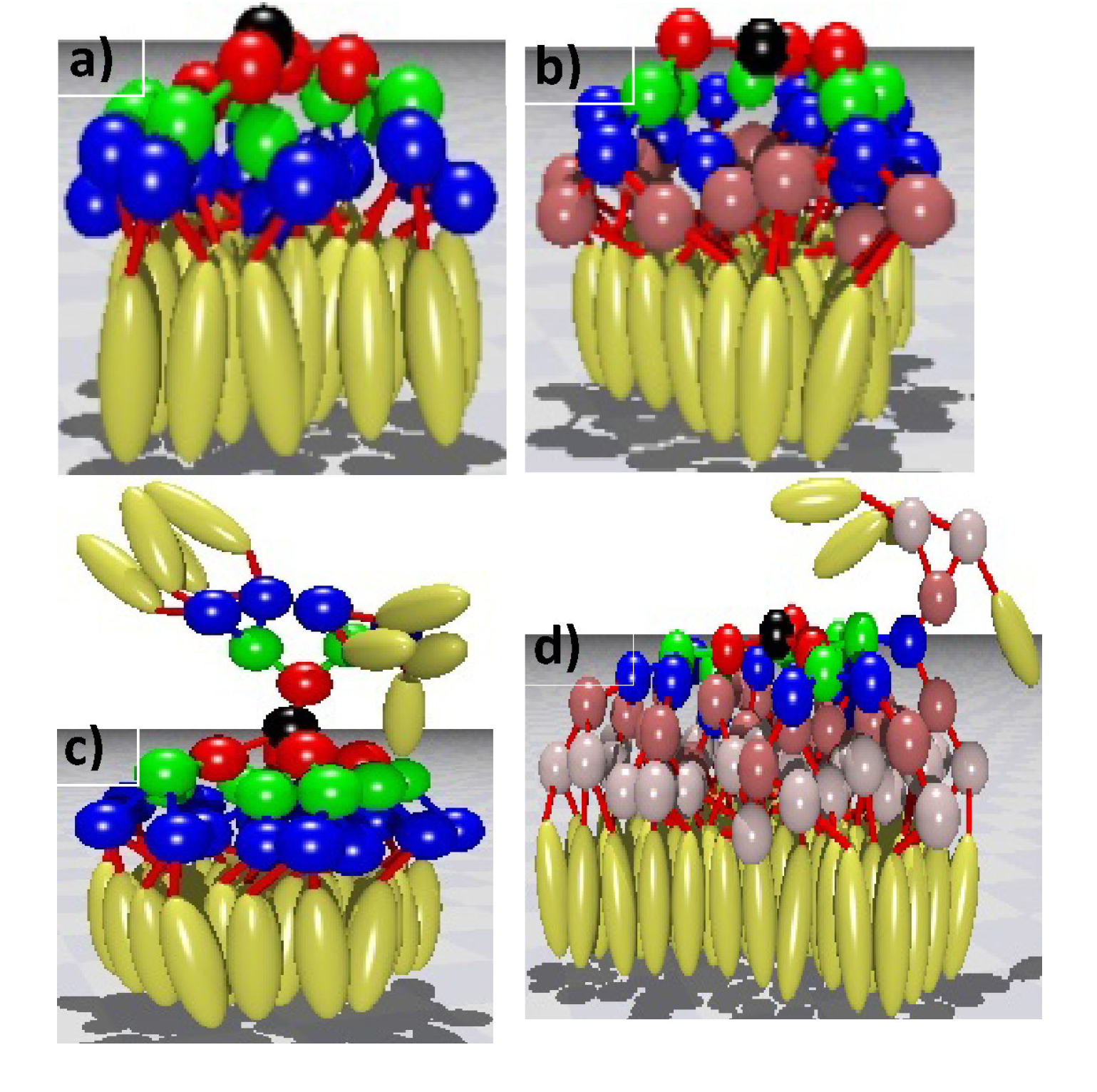 Polymers 06 02082 g003