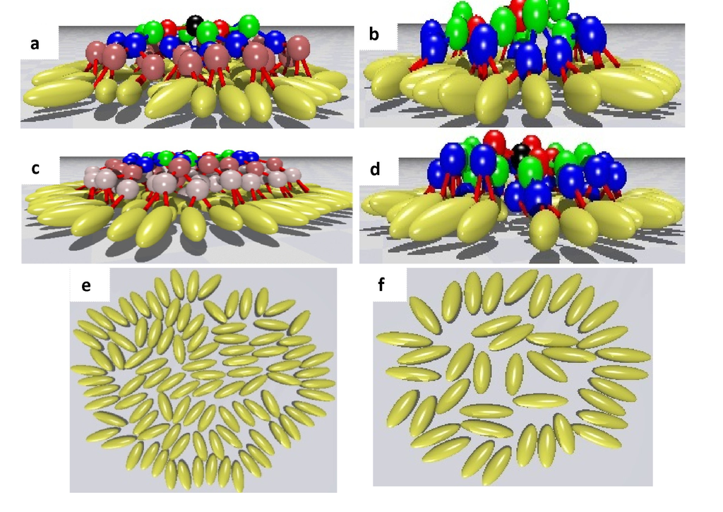 Polymers 06 02082 g006 1024