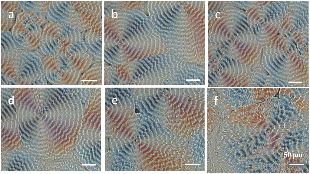 Polymers 06 02116 g002 1024
