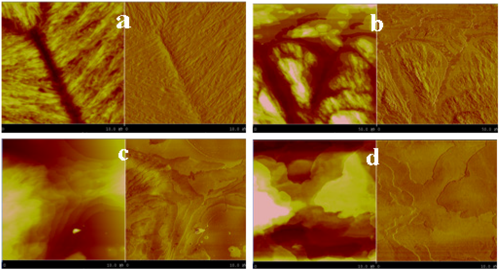 Polymers 06 02116 g017 1024