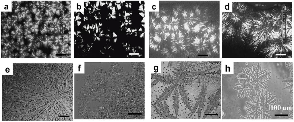 Polymers 06 02116 g018 1024