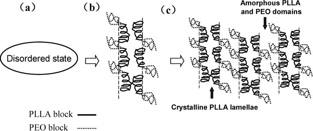 Polymers 06 02116 g020 1024