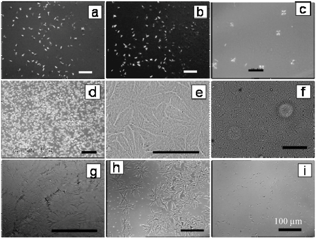 Polymers 06 02116 g021 1024
