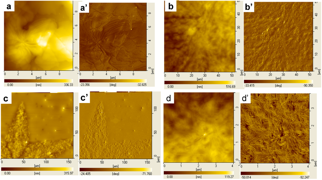 Polymers 06 02116 g023 1024