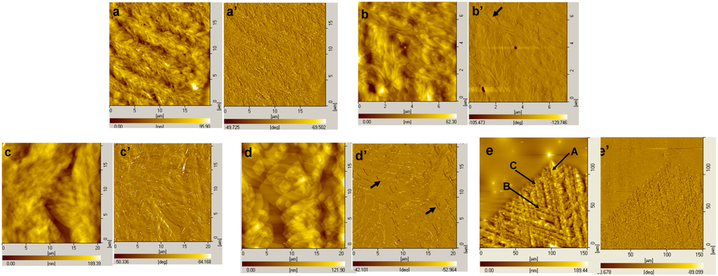 Polymers 06 02116 g025 1024