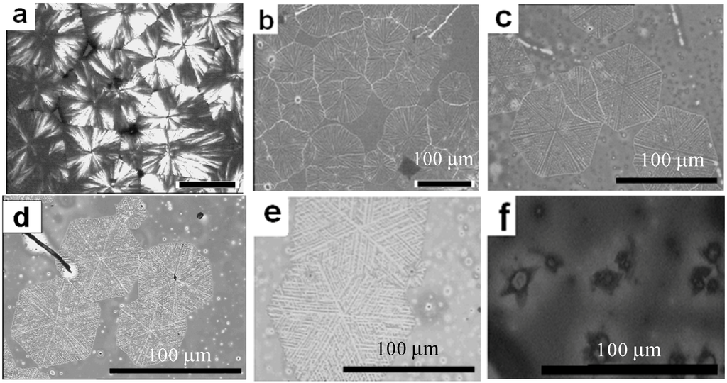 Polymers 06 02116 g026 1024