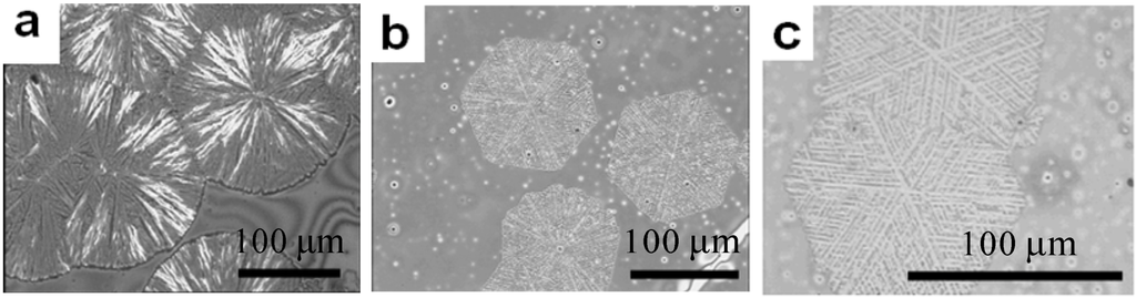 Polymers 06 02116 g027 1024