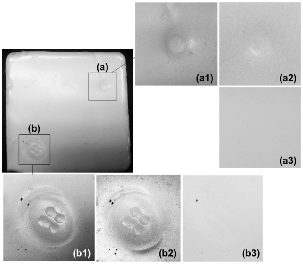 Polymers 06 02287 g009 1024