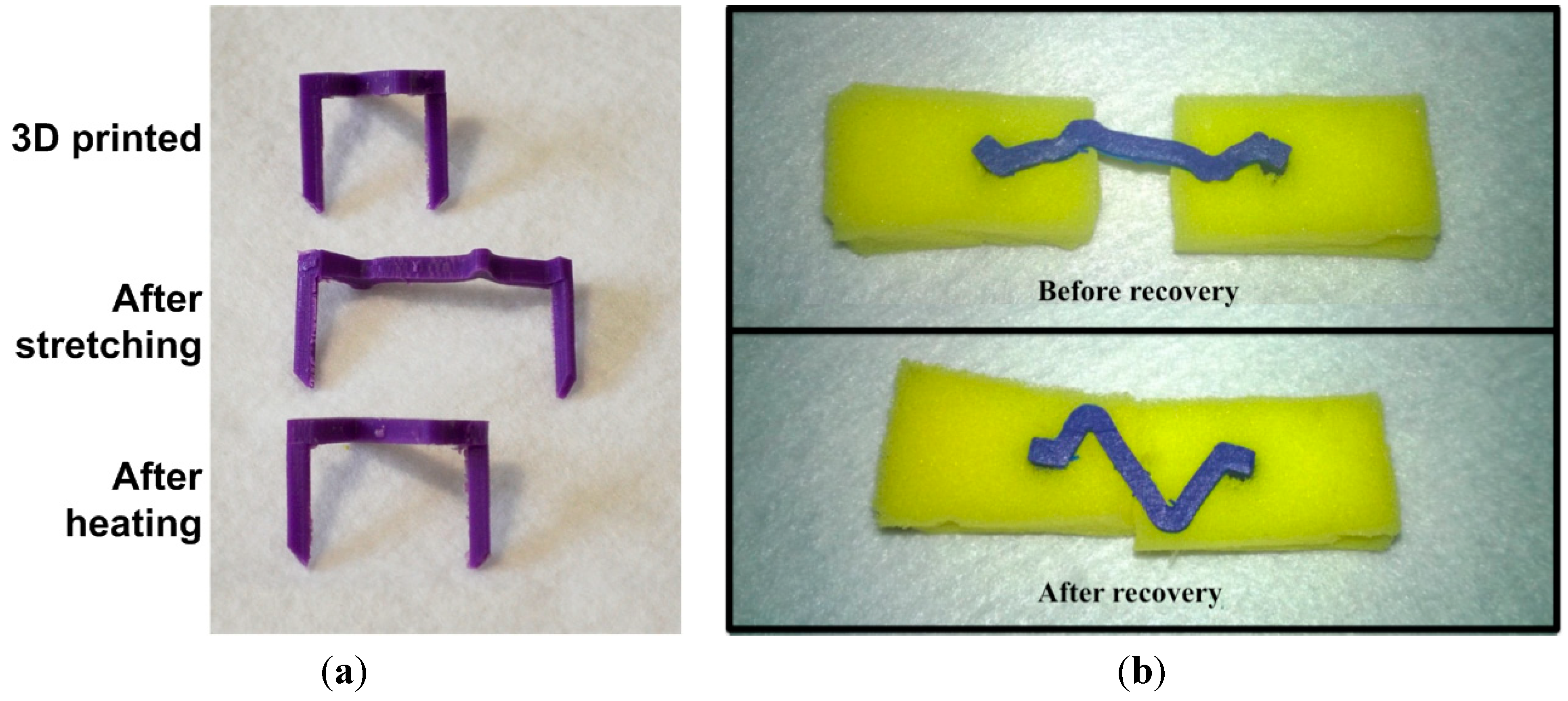 Polymers 06 02287 g012