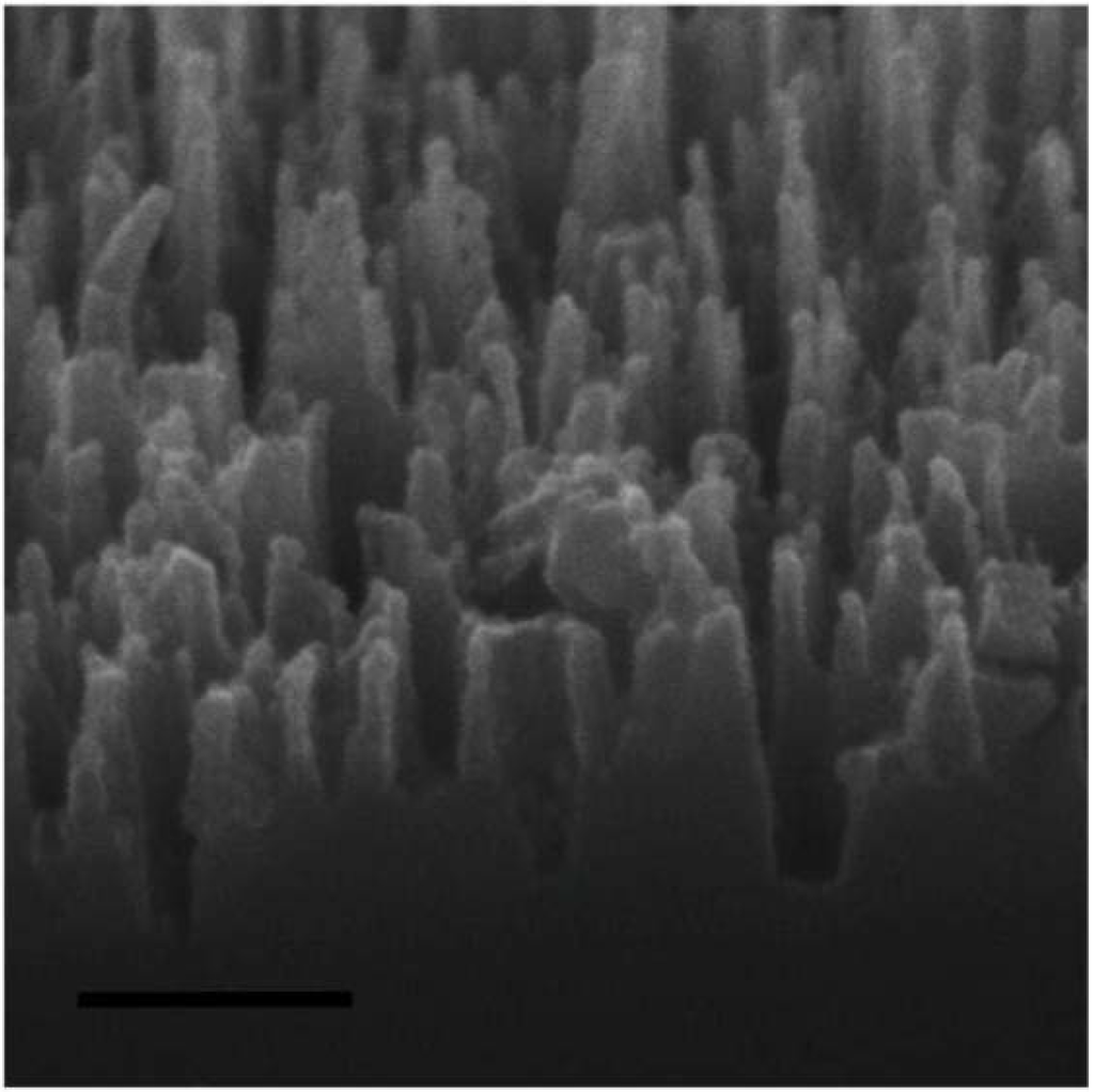 Polymers 06 02309 g002 1024