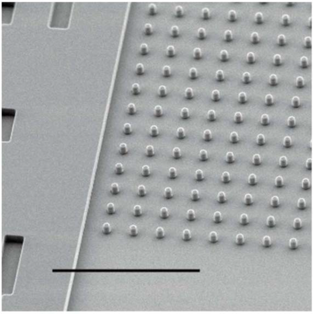 Polymers 06 02309 g004 1024