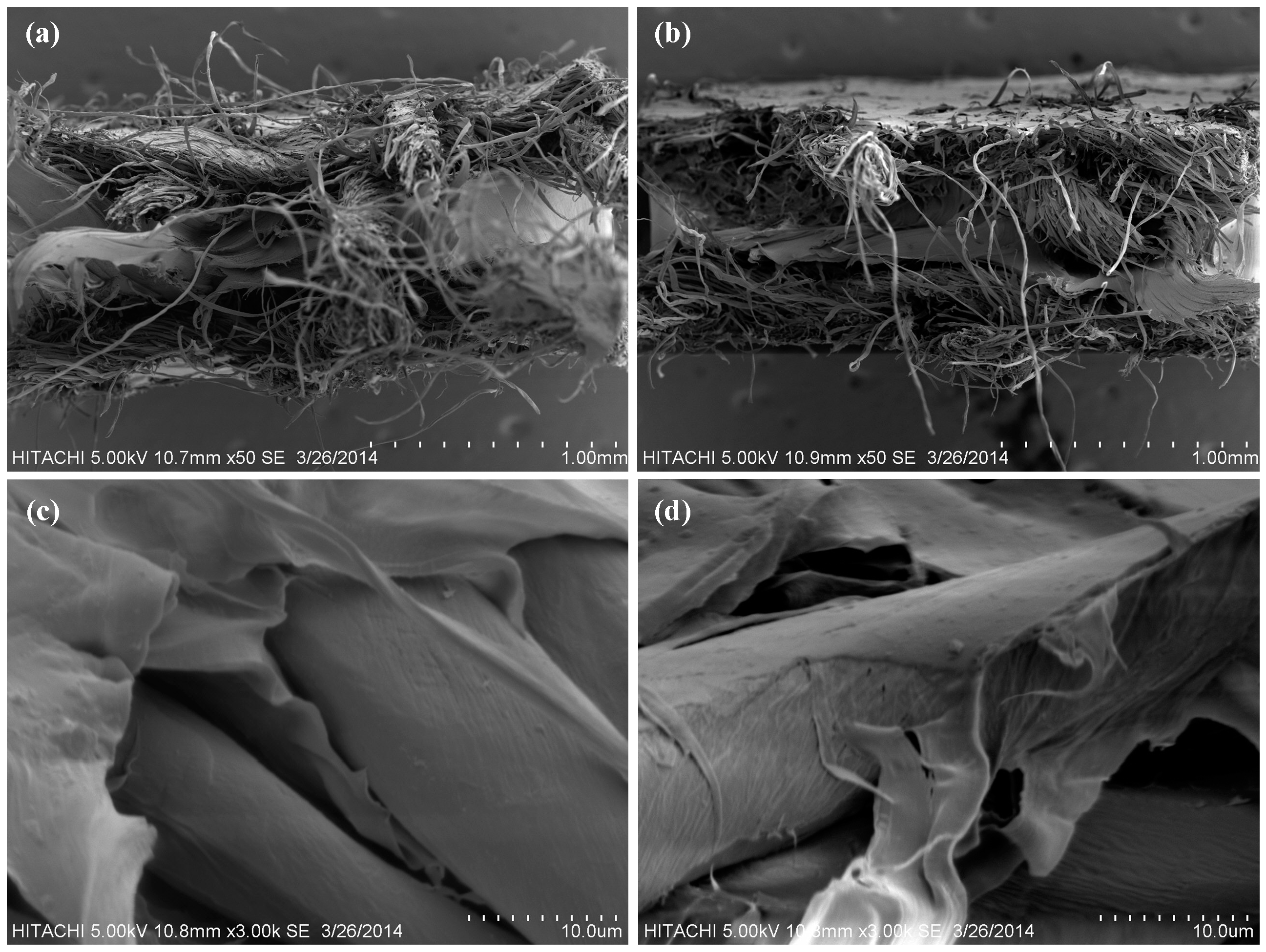 Polymers 06 02345 g004