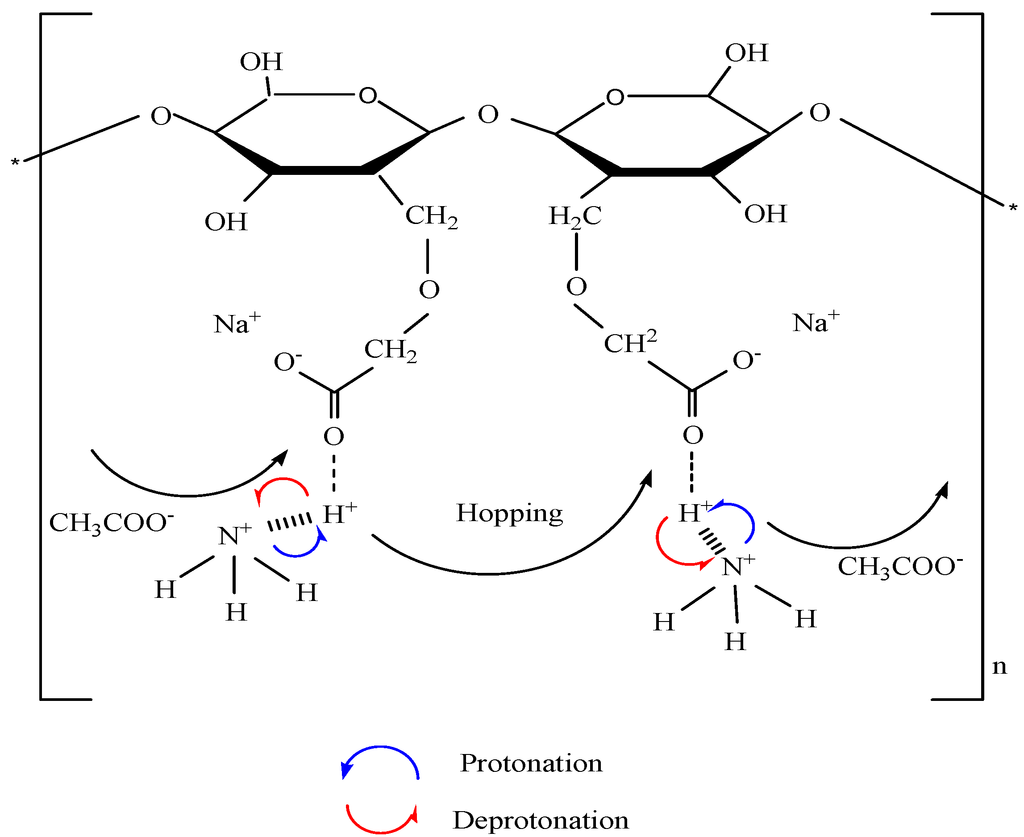 Polymers 06 02371 g009 1024
