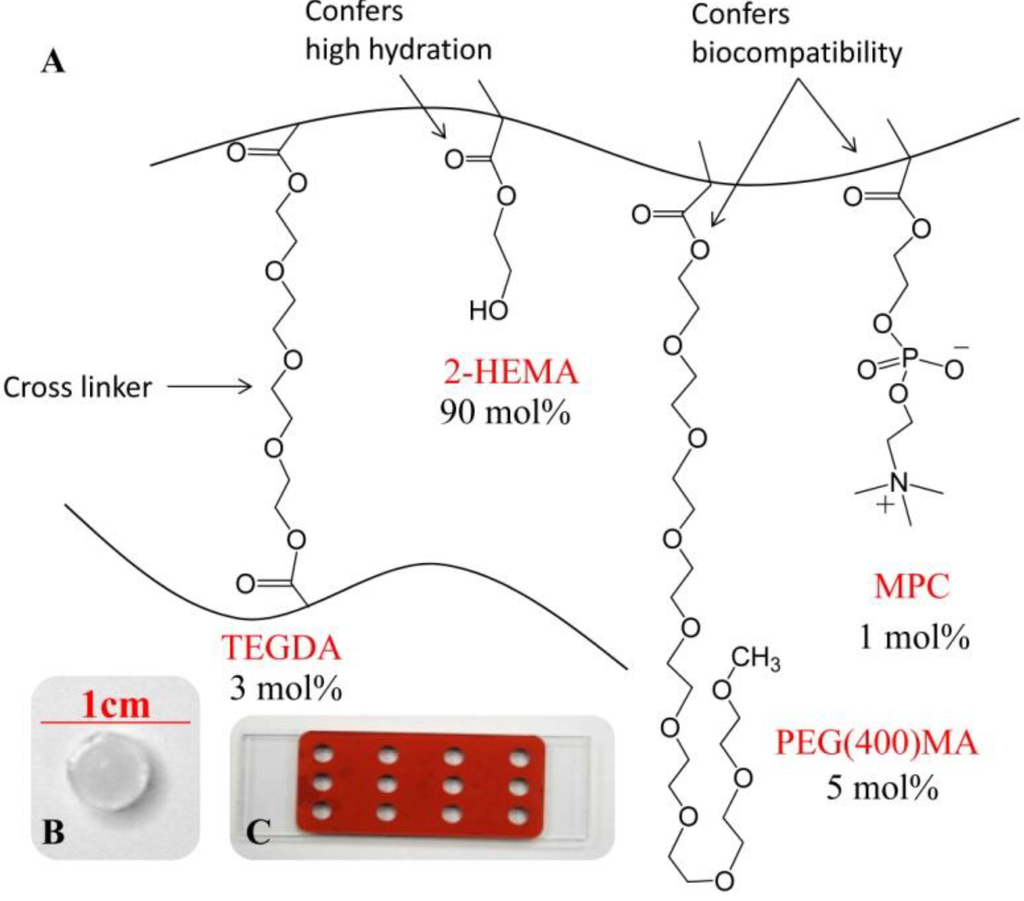 Polymers 06 02451 g001 1024