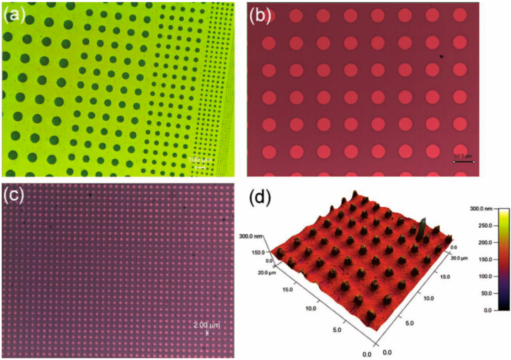 Polymers 06 02473 g009 1024