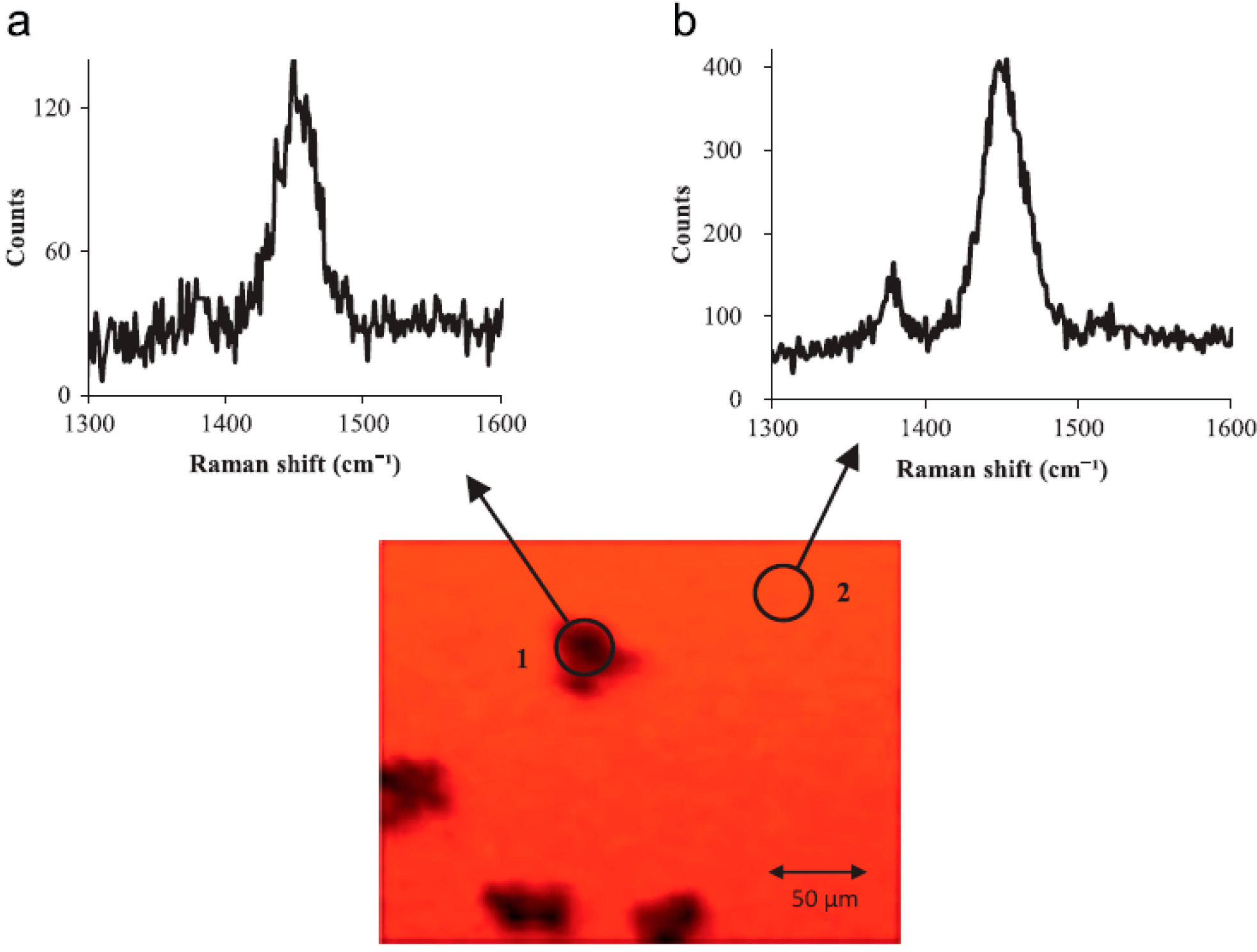Polymers 06 02473 g014