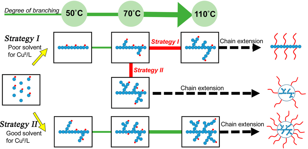 Polymers 06 02552 g013 1024