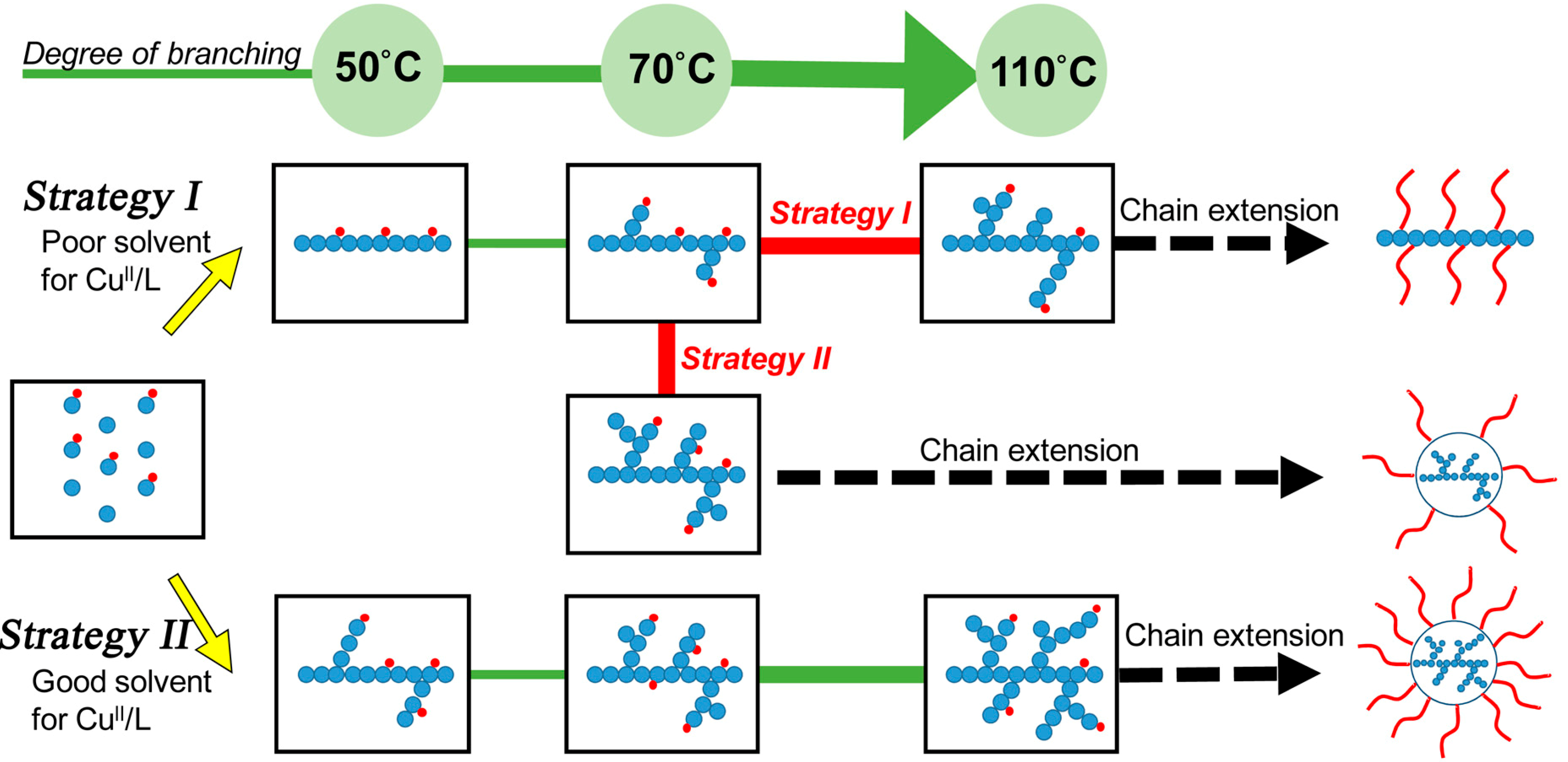 Polymers 06 02552 g013