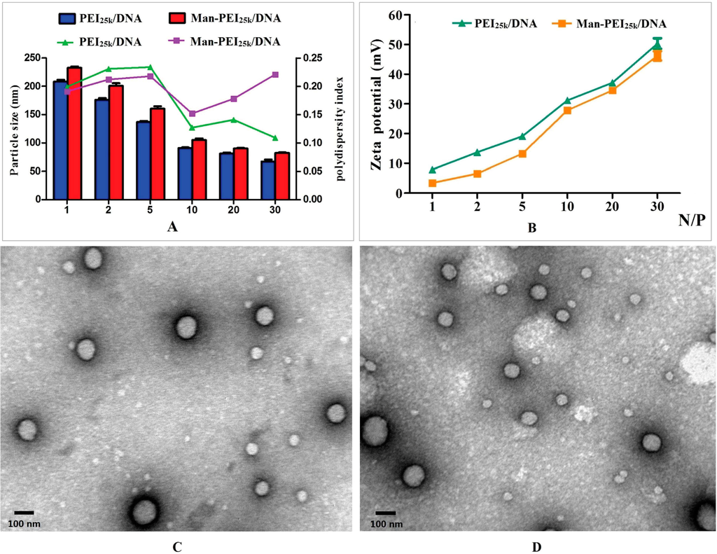 Polymers 06 02573 g003 1024
