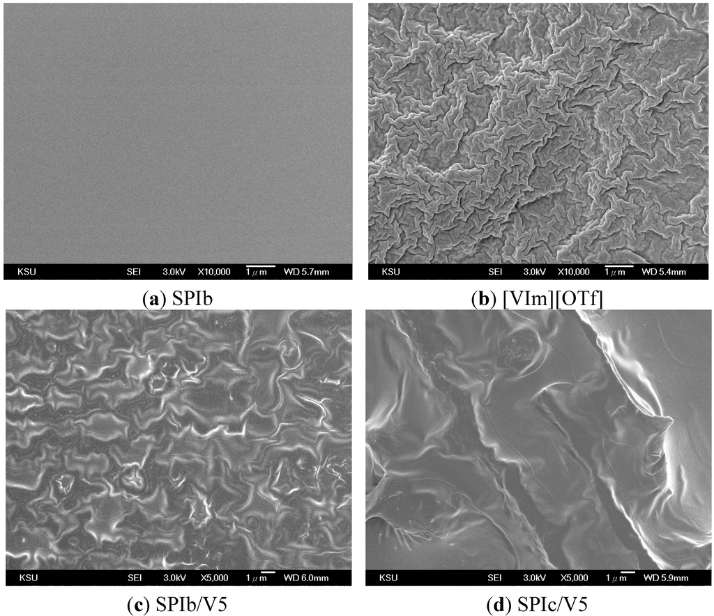 Polymers 06 02720 g005 1024