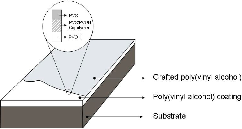 Polymers 06 02764 g003 1024