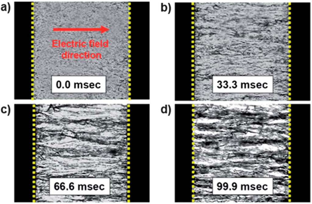 Polymers 06 02803 g005 1024