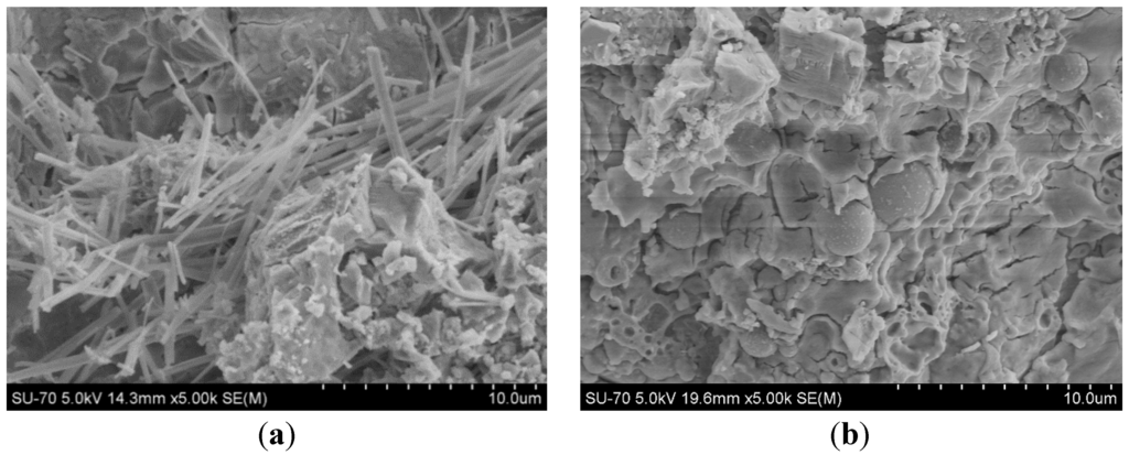 Polymers 06 02819 g012 1024