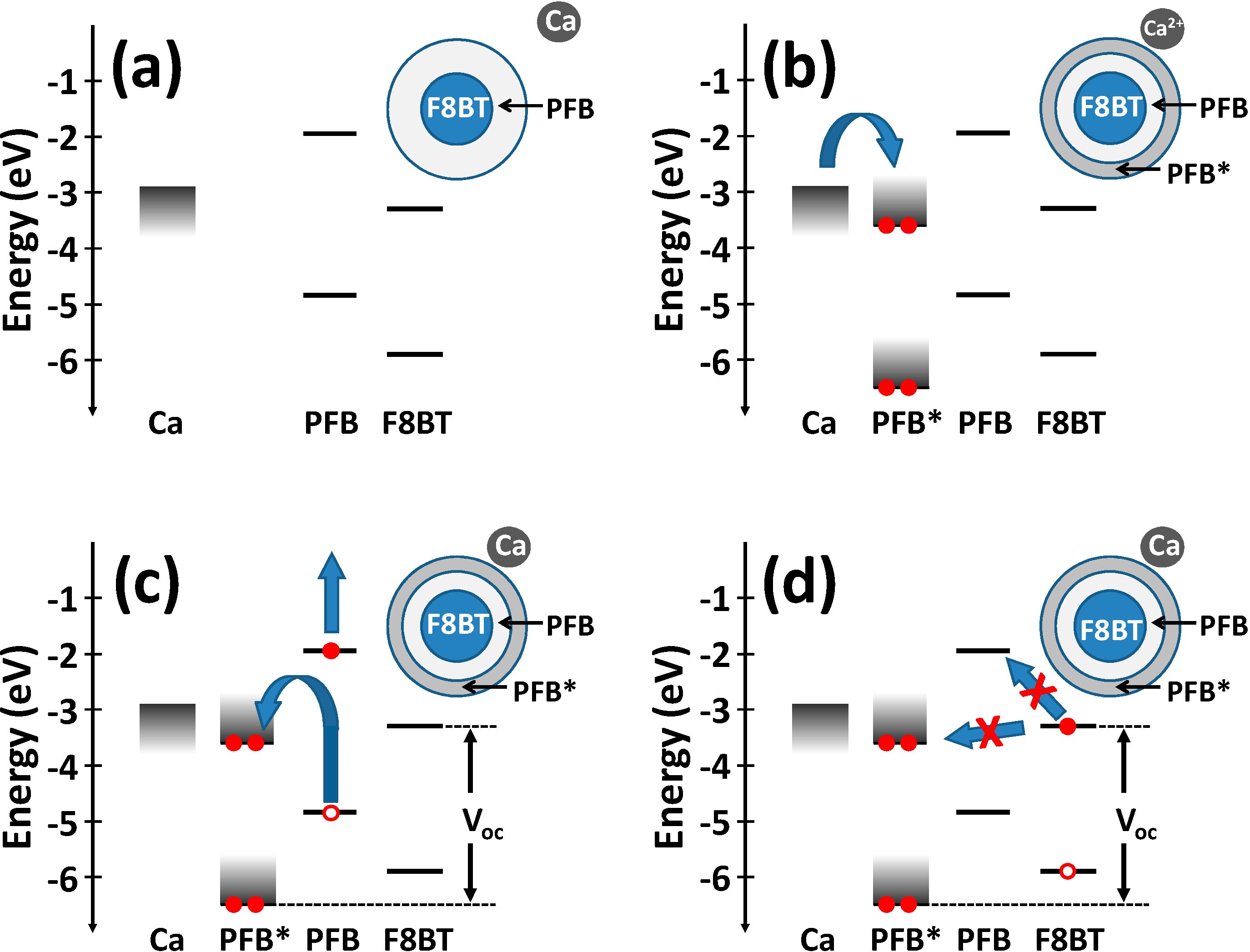 Polymers 06 02832 g004