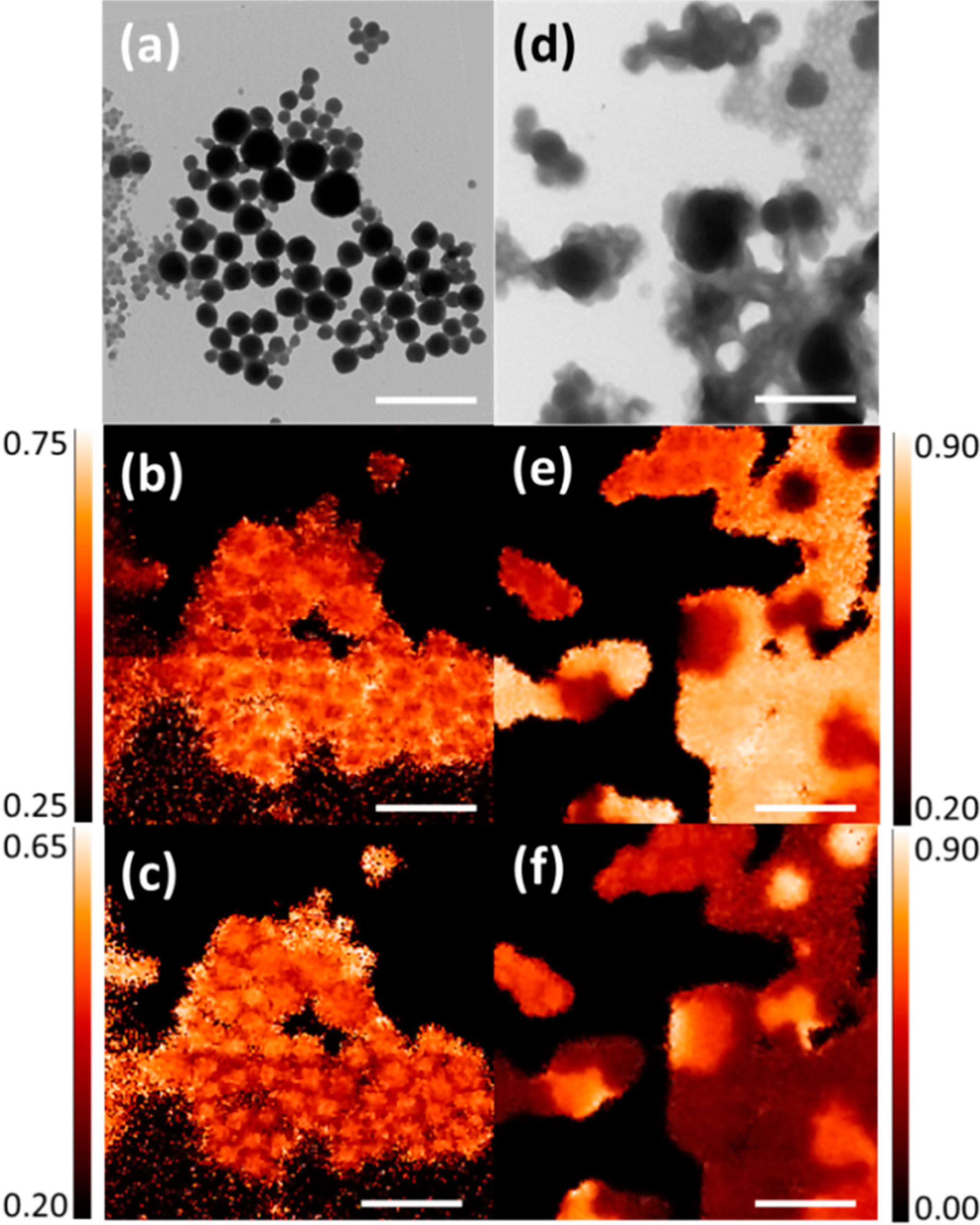 Polymers 06 02832 g005