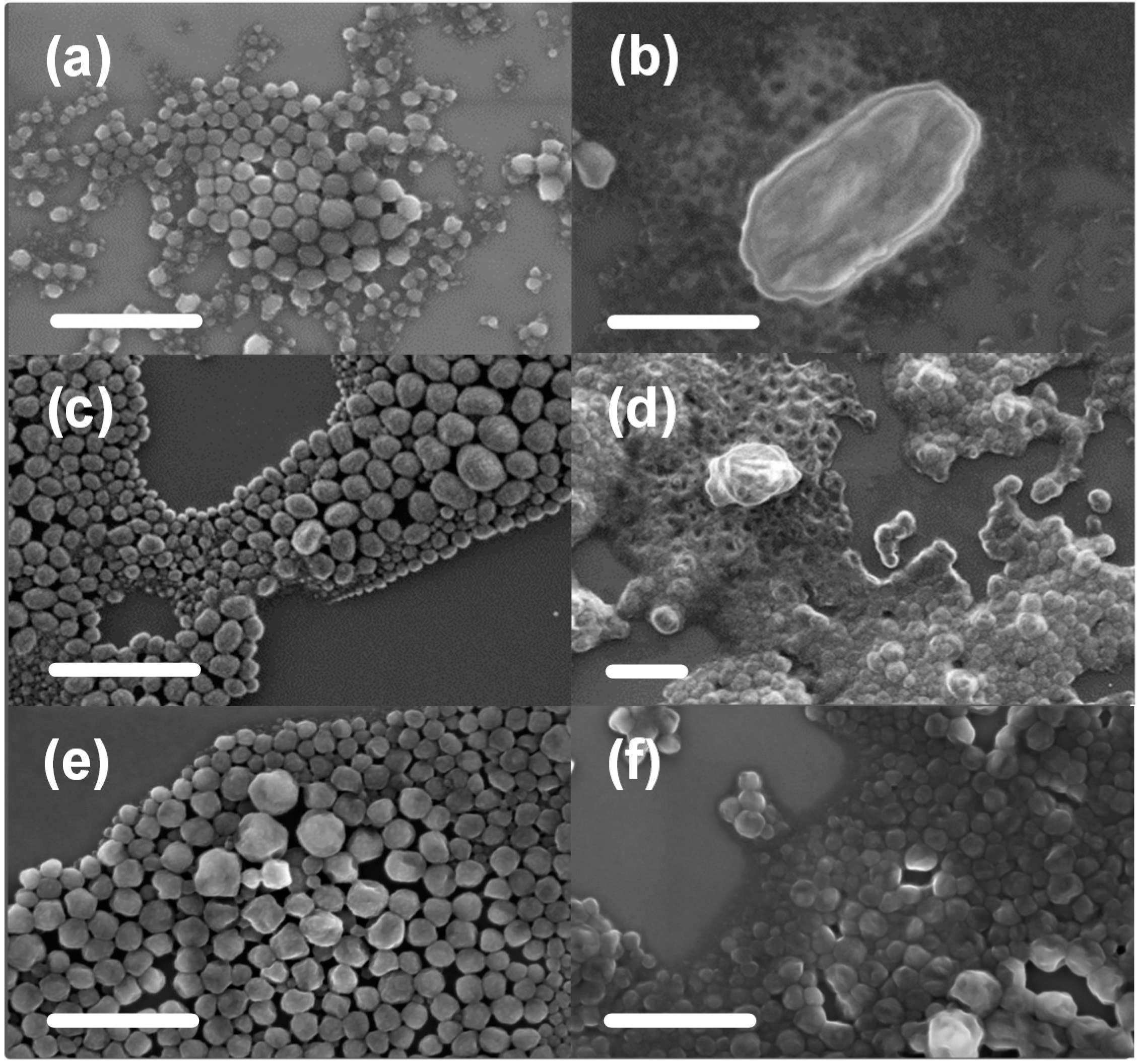 Polymers 06 02832 g006