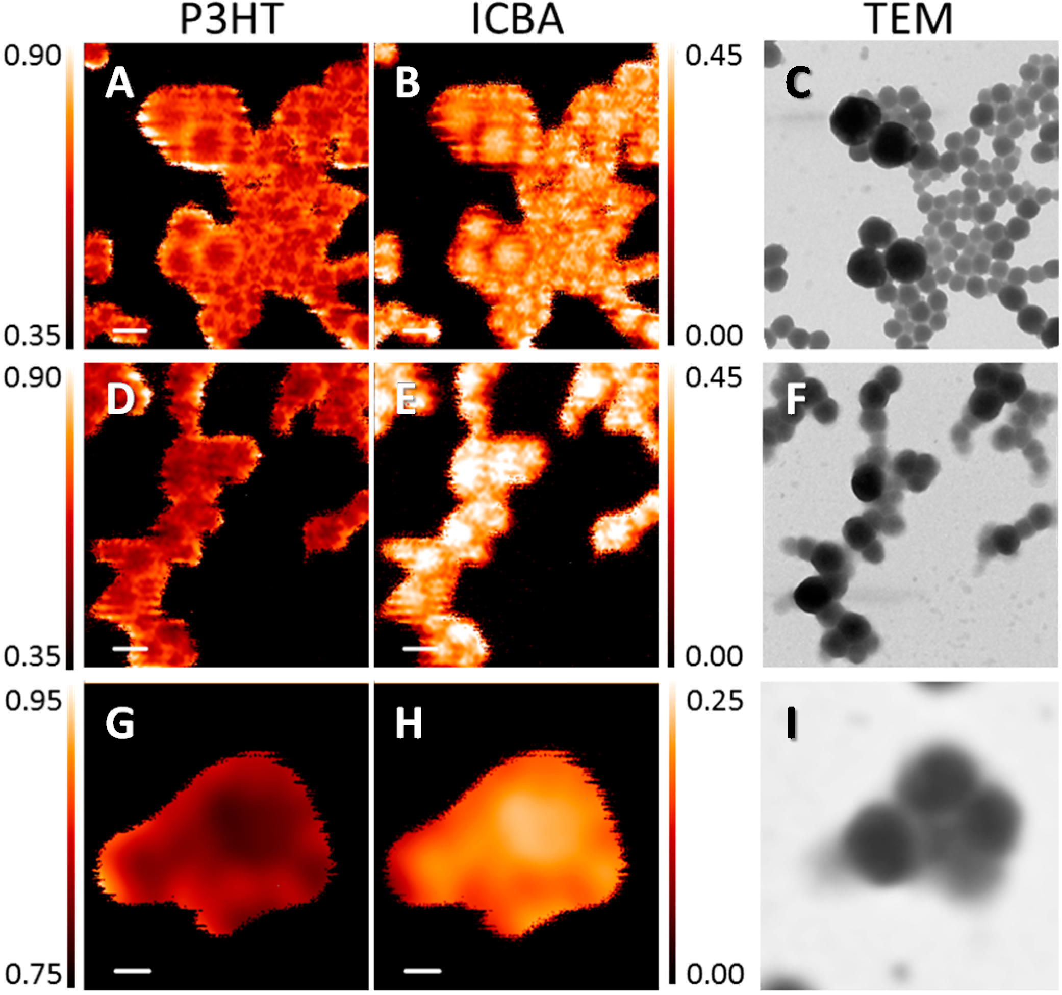 Polymers 06 02832 g007