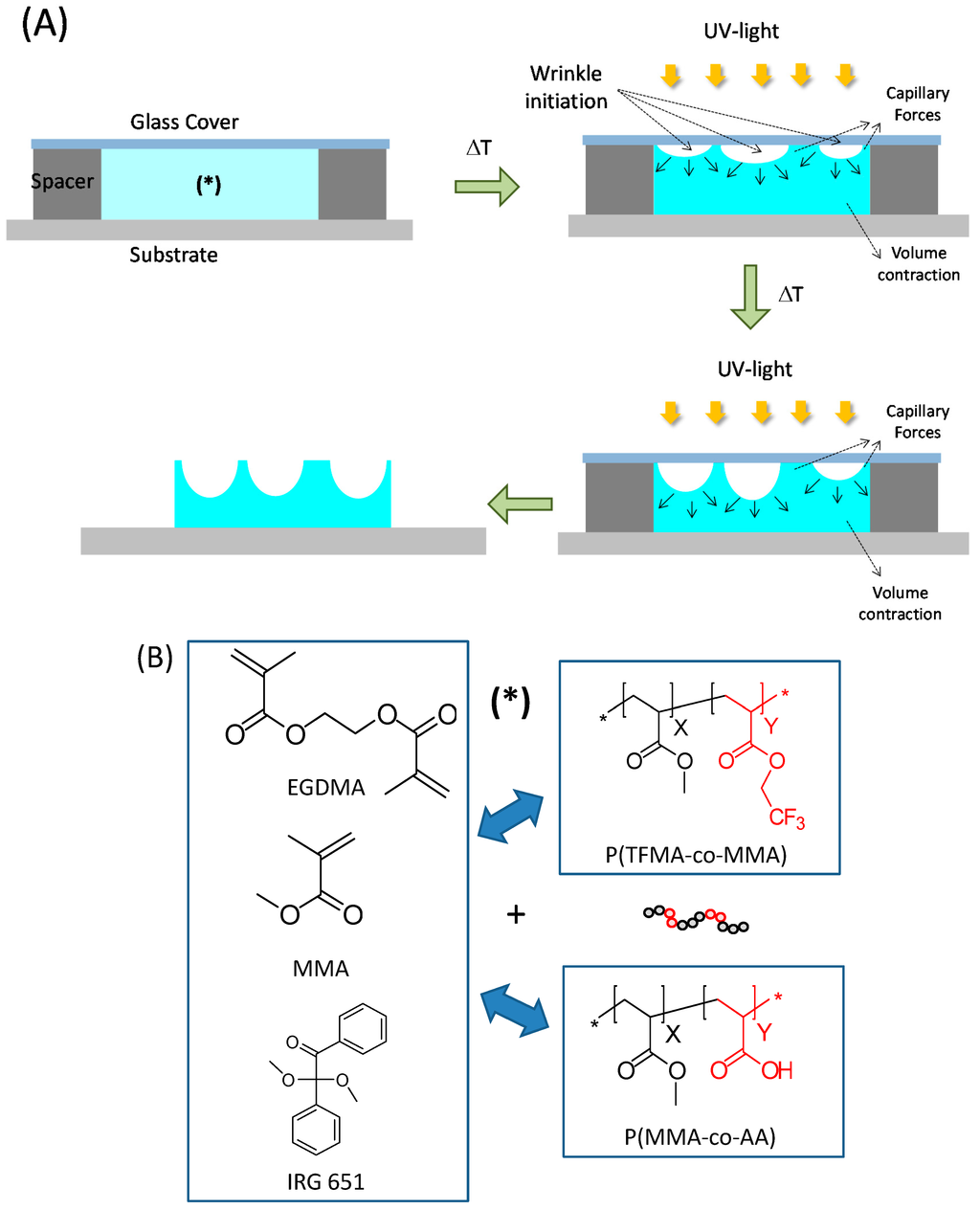Polymers 06 02845 g001 1024