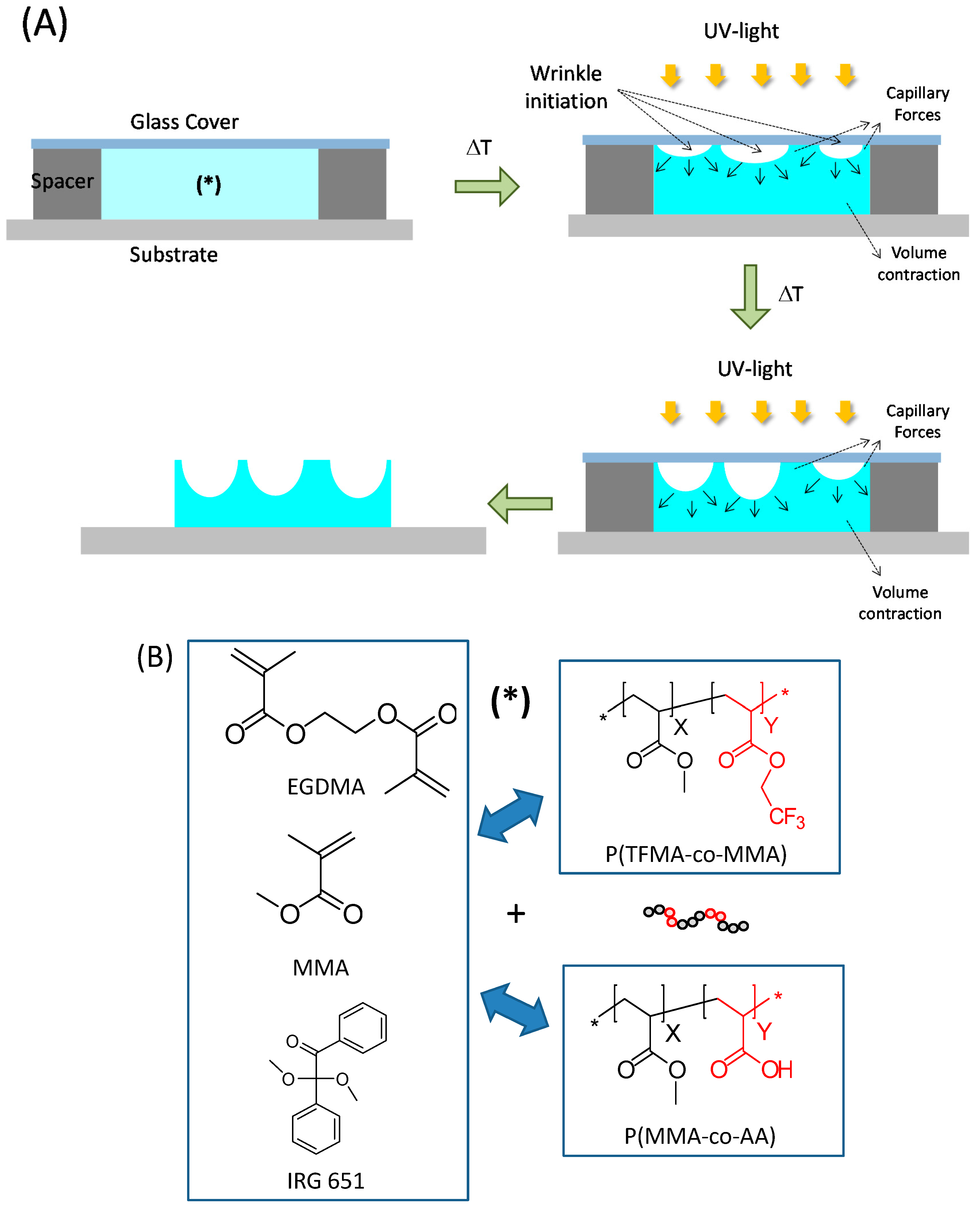 Polymers 06 02845 g001