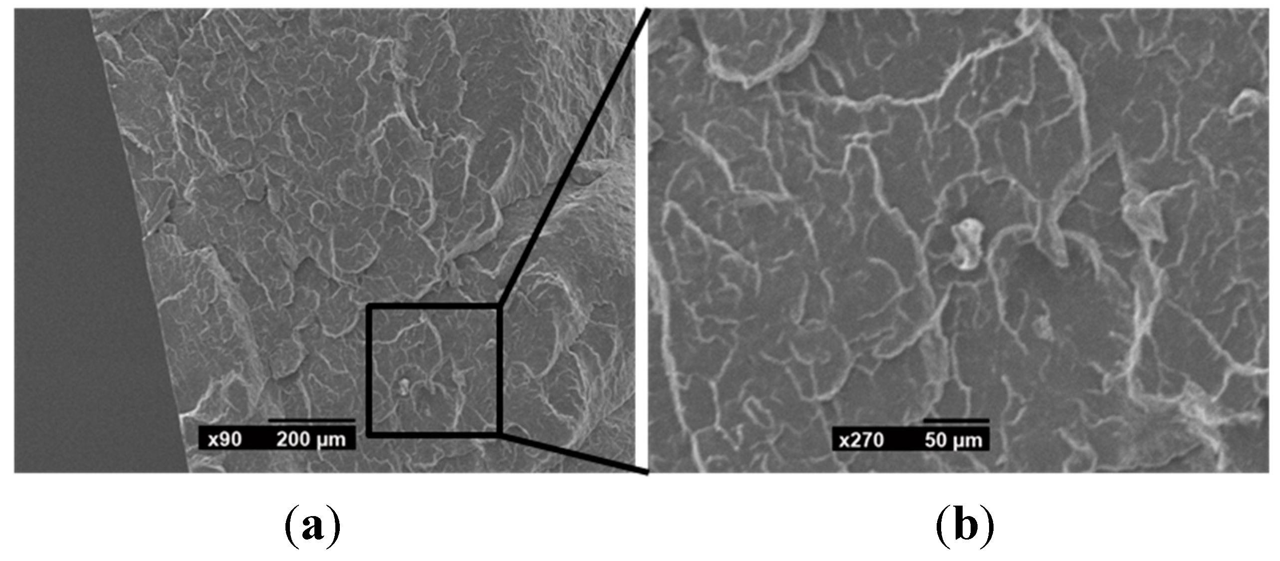 Polymers 06 02912 g007